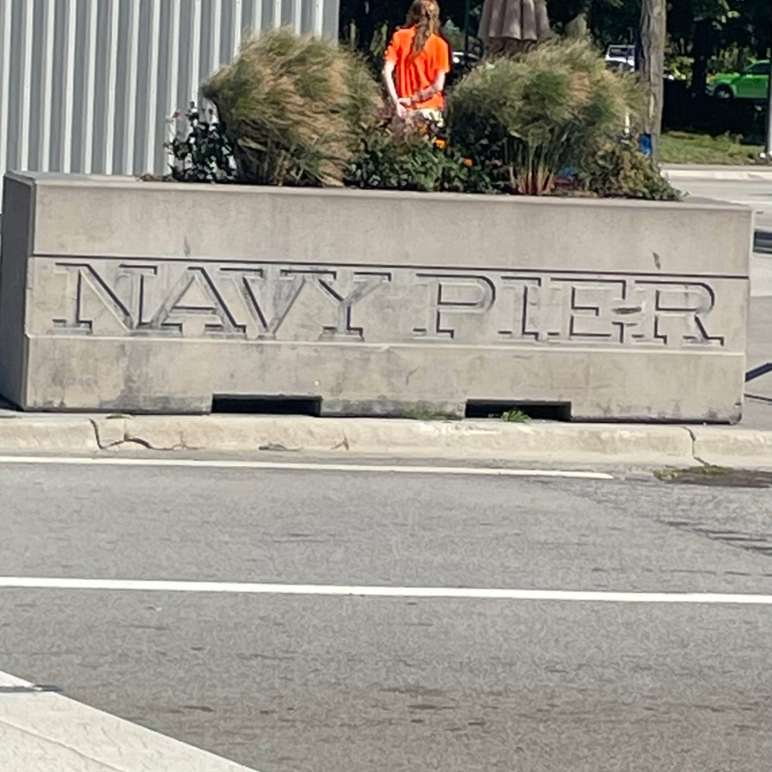 Butterflies, Ships and what? A Giant Ferris Wheel; More Chicago